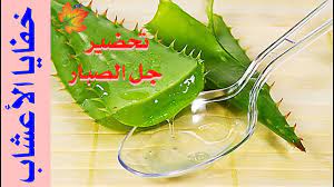 كيفية تحضير جل الصبار للشعر في المنزل بطريقة بسيطة Health Fruit Watermelon