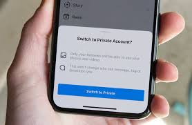These instagram tools and apps can be accessed for a short period by the user. How To View Private Instagram Profiles 2021 Quantum Marketer