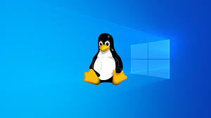 3 Ways to Access Your Linux Partitions From Windows