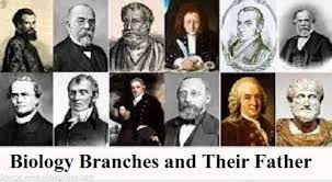 An ancient greek man by the name of aristotle is considered by many to be the father of biology. List Of Different Branches Of Biology And Their Fathers