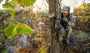 Jul 01, 2021 · discover field & stream's best hunting content. Quiz How Good Is Your Deer Hunting Area Petersen S Bowhunting