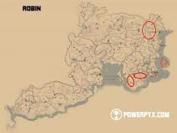 Where to hunt a perfect skunk carcass. Red Dead Redemption 2 All Hunting Request Locations