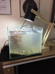 Diy Akvaryum Ve Aydinlatma Akvaryum Ahsap Isleme