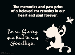 Take time to write the natural consoling words and express your concern through the letter. 67 Pet Sympathy Messages Condolence Messages Wishesmsg