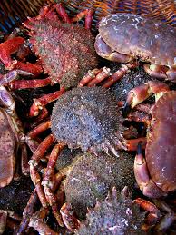 Le Palais Belle Ile Morbihan Bretagne France 2007 Seafood Photographing Food Sea Creatures