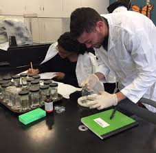 in college to boost your resume