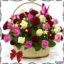 good evening | Fleurs pour anniversaire, Bon anniversaire fleurs, Joyeux  anniversaire fleurs