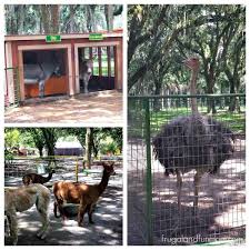 Please choose a different date. Getting Up Close To Animals At Green Meadows Farm Fun Learning Life