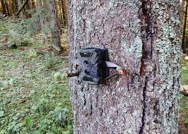 Wifi trail camera, usogood 24mp 1296p game cameras with ir night vision motion activated waterproof hunting cam wireless for audio live feed, outdoor wildlife monitoring, send picture to cell phone. How To Hide A Trail Camera From Humans 7 Hacks To Prevent Theft Click Like This