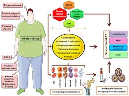Image result for Hematologic Cancer