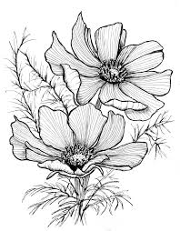 Download the perfect black and white flower pictures. 100 Flowerdrawing Black And White Ideas In 2021 Drawings Botanical Illustration Art