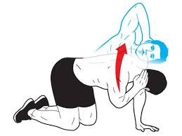 5 Exercises For A Strong Upper Back Muscle Fitness Muscle Imbalance Exercise