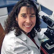 Education at Your Fingertips