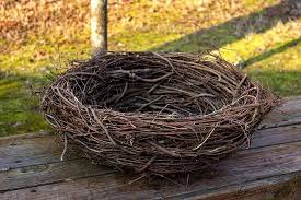 Homemade Birds Nest Bird Nests Art Bird Nest Craft Bird Nest