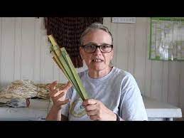 Demonstration Of Extracting Muka Nz Flax Fiber Youtube Flax Fiber Flax Flax Weaving