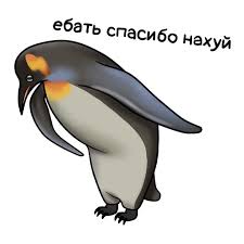 images?q=tbn:ANd9GcTy7qdhVCBVpLYUS5ce_mv