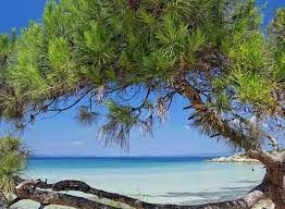 Salonic, kavala, volos, sarti, vourvourou si multe altele se afla printre alegerile inteligente pentru o vacanta in grecia, aproape de. Oferte Litoral Grecia