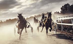 Där gör 16 hästar upp om den ärofyllda titeln och en rejäl säck med pengar. Han Ar Storsta Skrallen I Elitloppet 5 Storsta Skrallarna I Elitloppet 2020