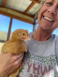 Hen or rooster? It's bigger than the rest of them. First time raising  backyard hen. Thanks.