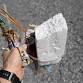 Beach Walk & Cleanup with AMSEAS at Hallock State Park event image