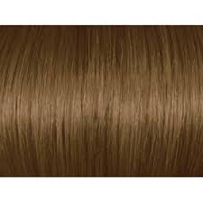 Dark Golden Blonde 6g 6 3 Hair Color Argan Oil Hair Color Blonde Hair Color