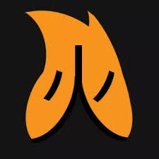 In chinese philosophy, fire is the prosper of the matter, or the matter's prosperity stage. Fire ç« HuÇ' Chinese Character Emblems For Battlefield 1 Battlefield 4 Battlefield Hardline Battlefield 5 Battlefield V Battlefield 2042