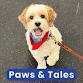 Paws & Tales event image