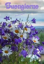 Potrai ora vedere i fiori con sfumature vivaci e texture realistiche. Buongiorno Bellissimi Fiori 2 Buongiornoate It
