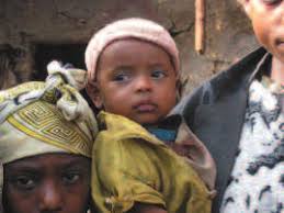 Annual Report H P 2004–2005