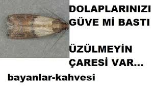 Kazaklari Guveden Korumak Icin Ne Yapmali Bayanlar Kahvesi Com House Cleaning Tips Food Poster Cleaning Hacks