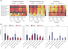 model guided combinatorial optimization of complex synthetic