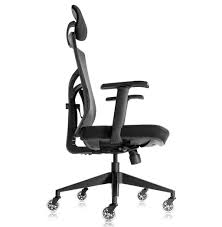 A breezy mesh back, adjustable headrest, lower back support the brand offers a premium option, too — the vertagears 350 comes with an aluminum frame and calfskin leather accents for a couple hundred dollars more. Ergonomic Mesh Office Chair The Office Oasis