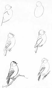 Art Sketches In 2021 Bird Drawings Drawings Of Friends Pencil Art Drawings