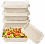 Compostable 25oz Bagasse Food Containers with Lid (750ml) – Eco-Friendly  Takeout Boxes