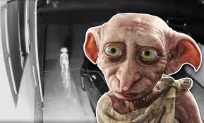 Dobby Caught On Security Cam Is The Scariest Viral Video You Ll See Today Culture