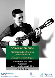 Reims Cours de Guitare Classique/Electrique/Flamenco