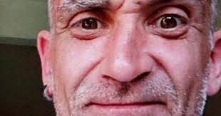 Dog walker missing after pets discovered wandering alone at Scots estate