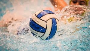 Younger and McGinty bring 'exciting blend of experience' to Swim ...
