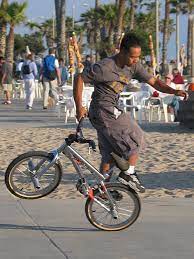 Flatland Bike Online 60 Off Espirituviajero Com