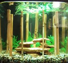 Bamboo Betta Tank Fish Tank Betta Fish
