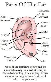 ear piercing chart want the conch piercing health ear