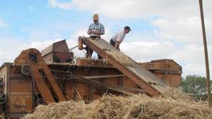 Ancien établi en bois 1900. A La Gloriette Des Battages Comme Autrefois