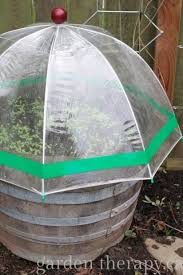 Backyard greenhouses range in size, price, and style—it all depends on what you want to accomplish. 30 Diy Backyard Greenhouses How To Make A Greenhouse