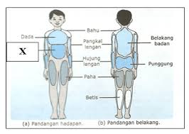 Daya tahan kardiovaskular adalah kemampuan sistem kardiovaskular dan pernafasan anda untuk bekerja dengan baik saat berada di bawah tekanan sesi latihan yang menantang. 11 Mana Satukah Aktiviti Di Bawah Ini Dapat Membina Daya Tahan Kardiovaskular