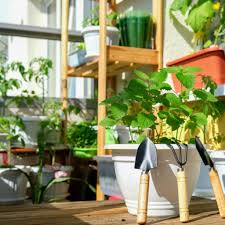 Starting a small garden in your yard can be a simple and enjoyable task with beautiful results that your friends and family will enjoy for years to come. Best Balcony Garden Design Ideas For 2021 Design Cafe