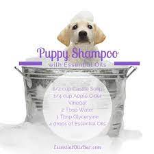 Liquid castile soap is a versatile natural soap that can be used in beauty recipes like shampoo and body wash and in cleaning and baby care. Puppy Shampoo Puppy Shampoo Natural Dog Shampoo Essential Oils