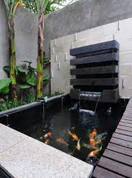 Desain kolam koi di dalam rumah ini dibuat untuk project pembuatan kolam koi di sekopek kaliwungu kendal. Khairul Asmi Inspirasi Kolam Ikan Dalam Rumah Facebook