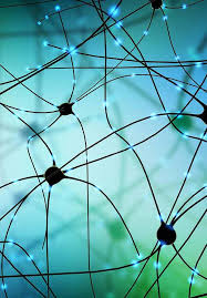 We did not find results for: Biofeedback In Clinical Psychology Modalities And Perspectives Intechopen
