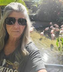 Flamingos at Sunken Gardens in St. Petersburg