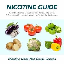 The nicotine content of green tomatoes is 42.8 ng/g 2. Facebook